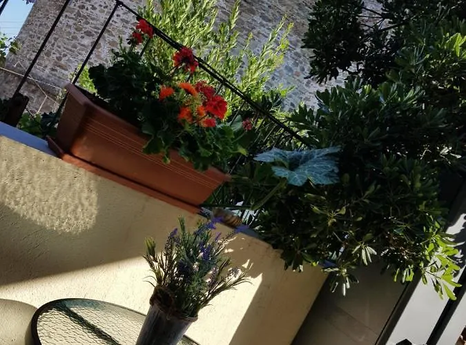 Frida's House In Old Town * Thessaloniki